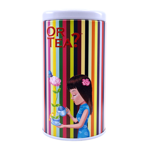 Rainbow Tin Canister (Container ONLY)